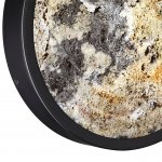 Настенный светильник Odeon light 5064/15WL BERGI