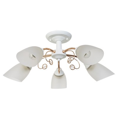 Потолочный светильник Экономсвет 50642/5FGD+WT WT