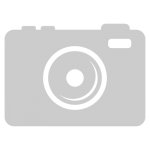 Люстра Odeon light 5067/12 CHAINY