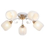 Потолочный светильник Экономсвет 50680/5FGD+WT WT