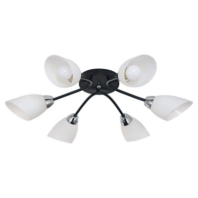 Люстра эконом Экономсвет 50751/6CR+BK WT Люстра эконом Экономсвет 50751/6CR+BK WT