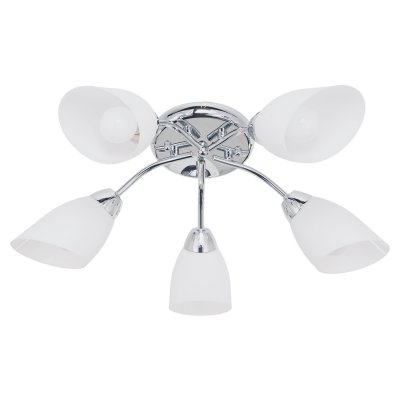 Потолочный светильник Экономсвет 50788/5CR WT