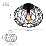 Светильник потолочный Rivoli Nora 5092-201 1 х Е27 40 Вт лофт-кантри для натяжных потолков
