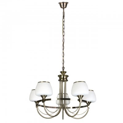 Подвесная люстра Spot Light Ronda 5106511