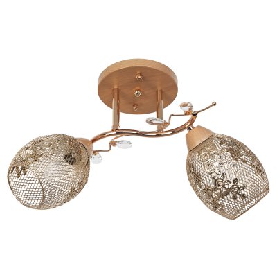 Потолочный светильник Экономсвет 51150/2FG FG