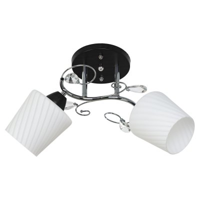 Потолочный светильник Экономсвет 51166/2BK+CR WT