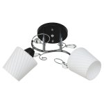 Потолочный светильник Экономсвет 51166/2BK+CR WT