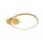 Потолочный светодиодный светильник 51210/1GD Экономсвет