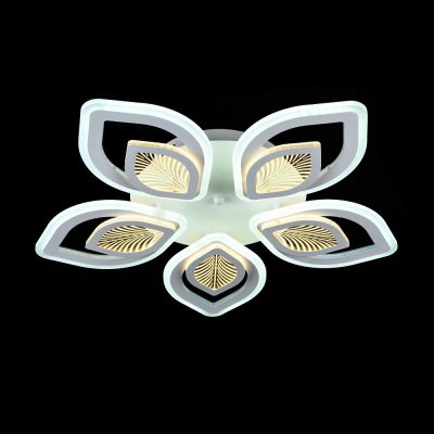 Потолочный светодиодный светильник 51270/5WT Экономсвет