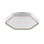 Потолочный светодиодный светильник 51299/1GD CL+WT Экономсвет