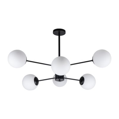 Потолочный светильник Экономсвет 51453/6BK WT