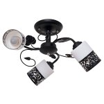 Потолочный светильник Экономсвет 5154/3BK WT