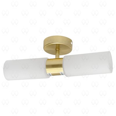 Светильник настенно-потолочный Mw light 516020902 Варна