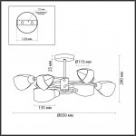 Люстра потолочная Odeon Light 5207/6C COMFI