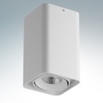 Светильник точечный накладной диодный Lightstar 52136 Monocco