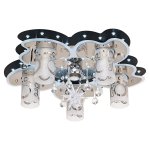 Потолочный светильник 5236/5+1BK+CR WT RC WTLED Экономсвет