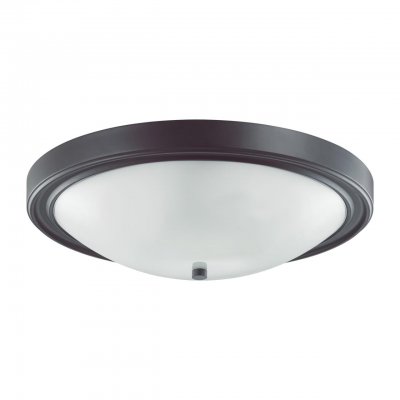 Настенно-потолочный светильник Odeon Light 5260/4C VINTAGE