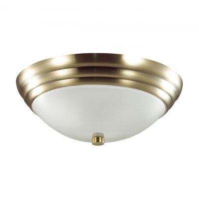 Настенно-потолочный светильник Lumion 5262/2C VINTAGE