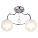 Потолочный светильник Экономсвет 5343/2CR WT