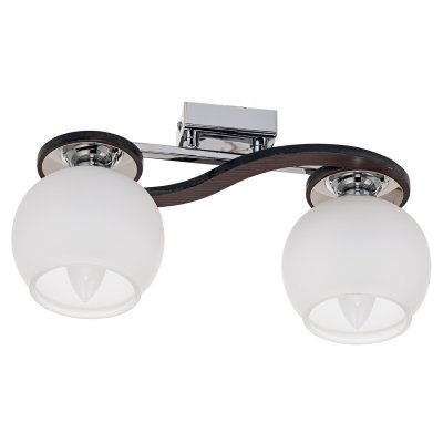 Потолочный светильник Экономсвет 5345/2CR+BK WT