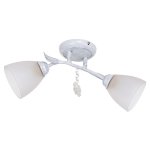 Потолочный светильник Экономсвет 53521/2WG WT