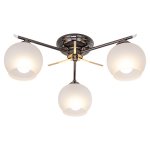 Потолочный светильник Экономсвет 5364/3AN WT