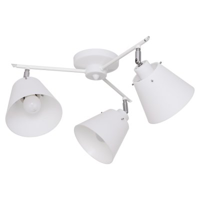 Потолочный светильник Экономсвет 53647/3WT WT