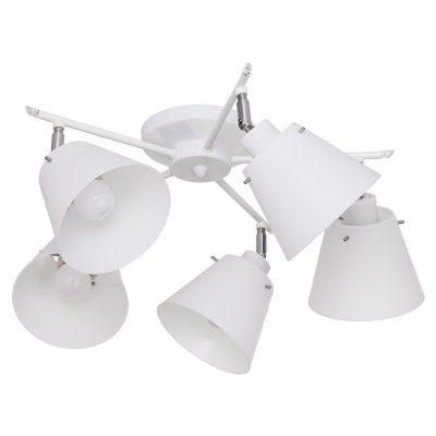 Потолочный светильник Экономсвет 53647/5WT WT