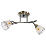 Спотовый светильник Экономсвет 53714/2AB BK