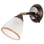 Спотовый светильник Экономсвет 53722/1WENGE WT