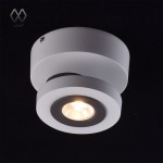 Светильник поворотный спот Mw light 545020801 Астор