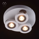 Светильник поворотный спот Mw light 545020903 Астор
