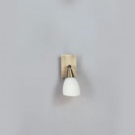 Светильник Globo 5451-1 Frank