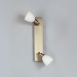 Светильник Globo 5451-2 Frank