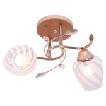 Люстра эконом Экономсвет 5472/2FGD WT