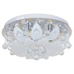 Потолочный светильник 5535/5CR RC WTLED Экономсвет