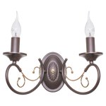 Светильник ЭкономСвет 5616/2wCO FG