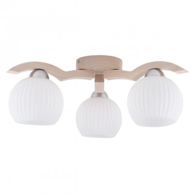 Потолочная люстра Spot Light Vasa 5640332