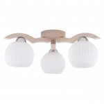 Потолочная люстра Spot Light Vasa 5640332