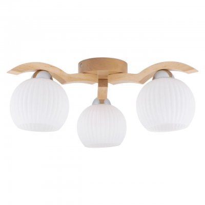 Потолочная люстра Spot Light Vasa 5640360