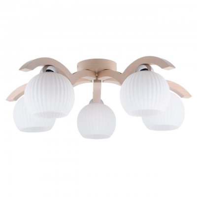 Потолочная люстра Spot Light Vasa 5640532