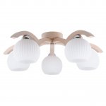 Потолочная люстра Spot Light Vasa 5640532