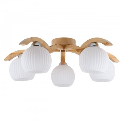 Потолочная люстра Spot Light Vasa 5640560