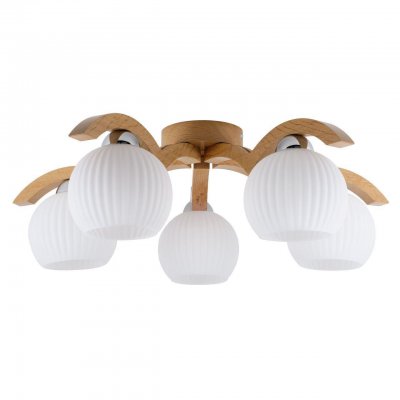 Потолочная люстра Spot Light Vasa 5640570