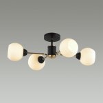Люстра потолочная Odeon Light 5646/4C