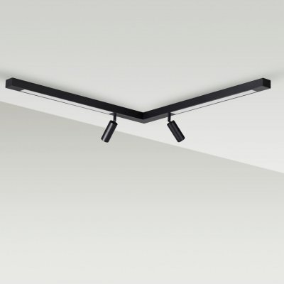 Потолочный светильник Odeon Light 5690/19CL LEDIO