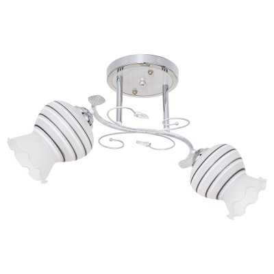 Потолочный светильник Экономсвет 5738/2CR WT