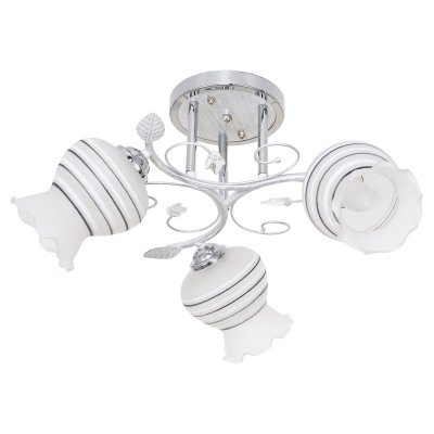 Потолочный светильник Экономсвет 5738/3CR WT