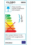 Светильник Globo 58243