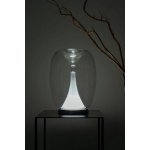 Настольная лампа Divinare 5875/09 TL-15 CAMPO